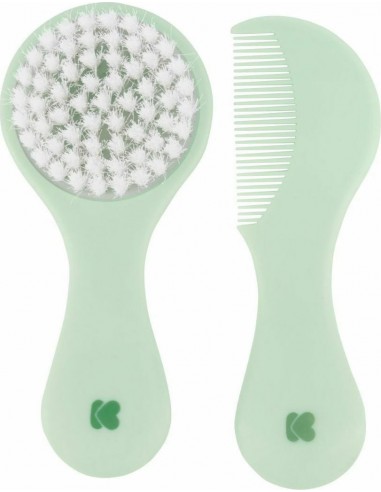 Brush and comb Cactus