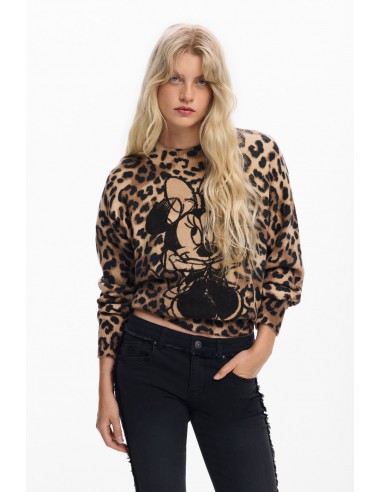 Desigual Women's Minnie Knit Jumper