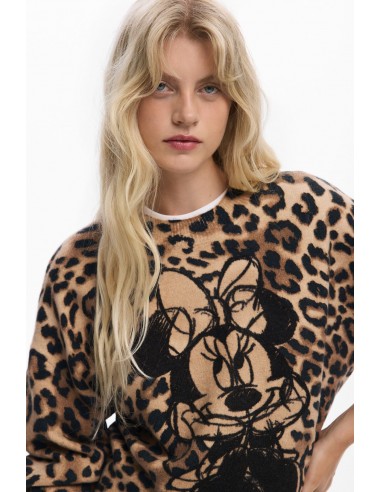 Γυναικείο Πουλόβερ Minnie Desigual