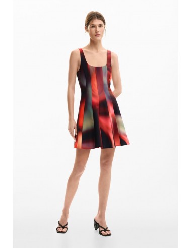 Desigual Women's Dress