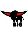BIG